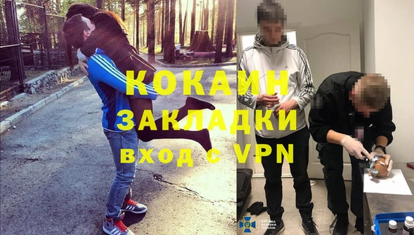 соль ск Алексин