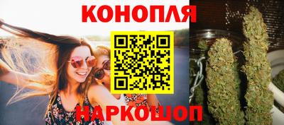 Альфа ПВП Аргун