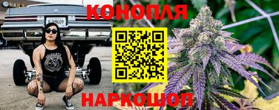 Альфа ПВП Аргун