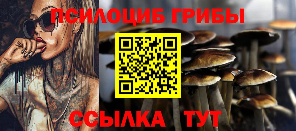 Галлюциногенные грибы мицелий Богородицк
